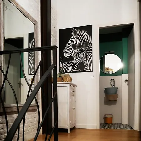 Un Zebre En Ville, Un Oasis Calme En Plein Centre
